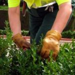 Clausurado el centro de trabajo de Parques y Jardines de Badajoz