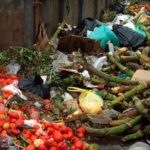 Comida que se va a la basura