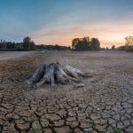 USO recuerda que el planeta nos pide a gritos medidas contra su deterioro por el calentamiento