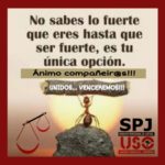 SPJ-USO: ESTADO DE ALARMA Y ESCRITOS DE ACTUACIONES JUDICIALES URGENTES