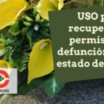 USO pide recuperar el permiso por fallecimiento para las despedidas tras el estado de alarma