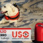 Prevención de riesgos laborales en el trabajo con perros