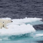 Profundizar las acciones sindicales en la defensa del medio ambiente