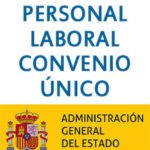 Comisión paritaria y Grupos de Trabajo IV Convenio Único AGE