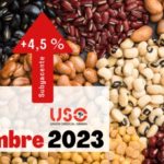 IPC Noviembre: La subida de los alimentos sigue siendo muy superior a la subida general del IPC