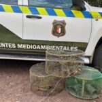 FAC-USO CLM denuncia la precariedad en medios y protección de los Agentes Medioambientales en plena campaña de incendios